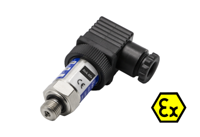 BCX 22 Exproof Basınç Transmitteri